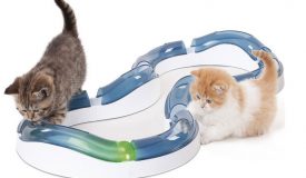 Cat sensory toy