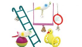 Bird Toys