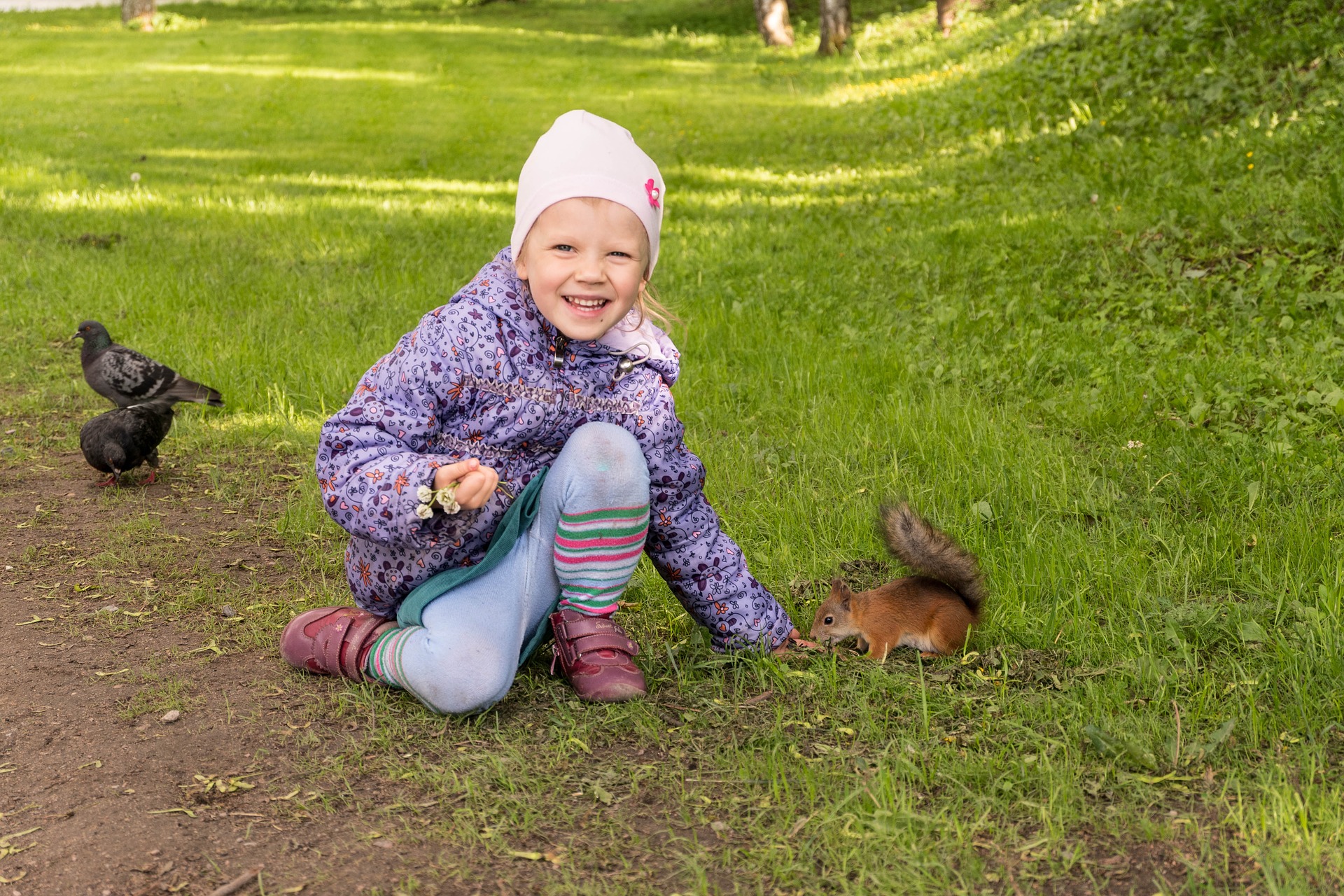 Feeding the Animals