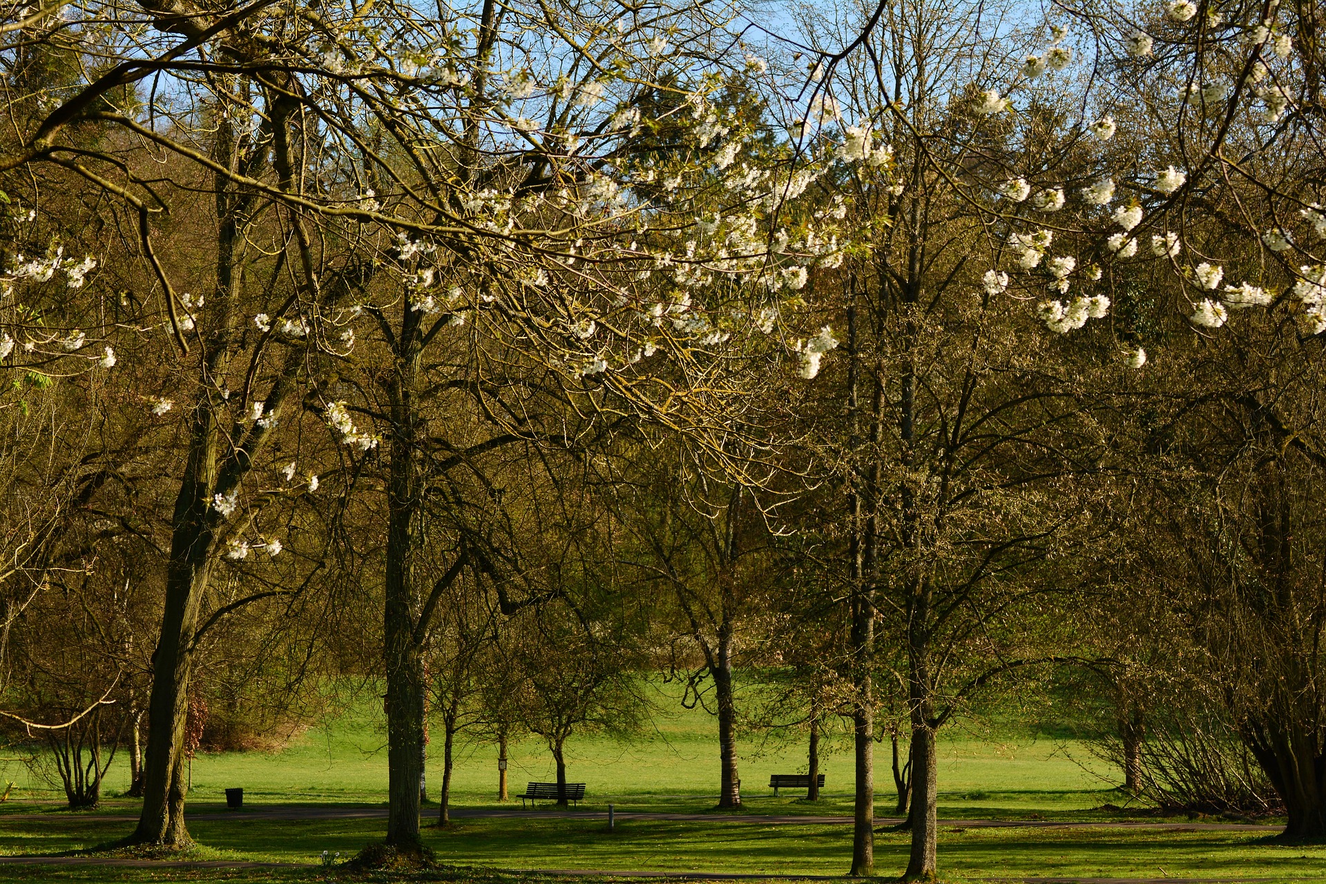 Picnic Areas