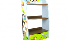 Bookcase with Storage Drawer