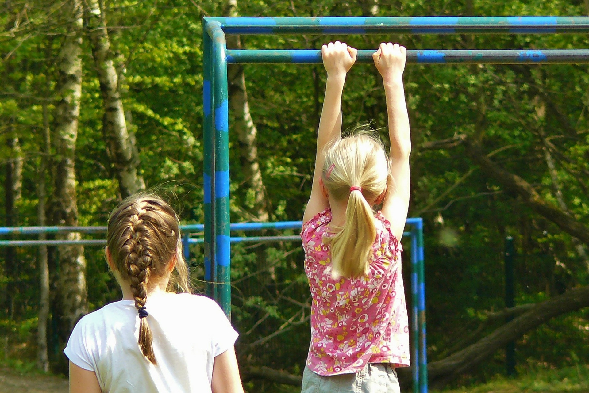 Climbing bars